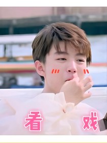 五个哥哥是宠妹狂