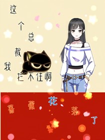 这个总裁我拦不住啊