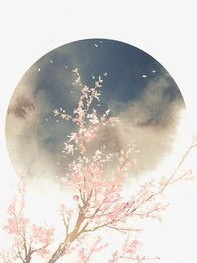 第五人格之血族