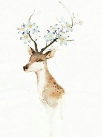 鹿與深海