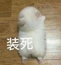 王者荣耀之。爱情故事