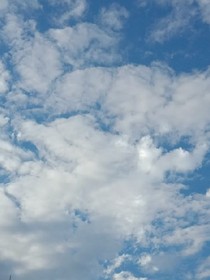 校園惡事