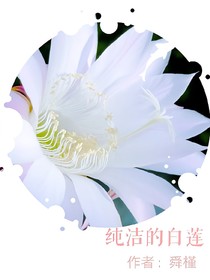 纯洁的白莲