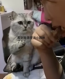 快穿之有本事别黑化