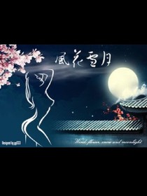风花雪月的故事