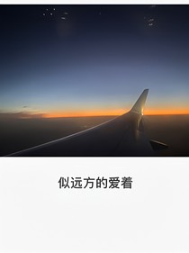似遠(yuǎn)方的愛著