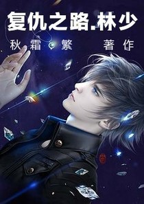 复仇之路.林少