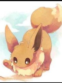 变成伊布