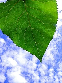 慢点跑的那些年