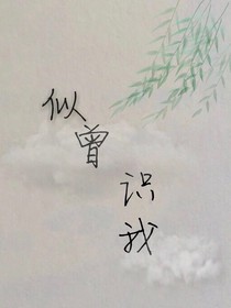 似曾识我