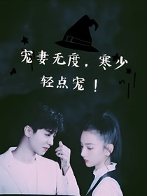 宠妻无度：寒少轻点宠