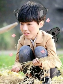只可惜你永远都不会是我的少年