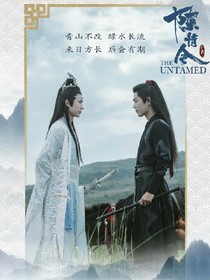 陈情令：破镜重圆——d320