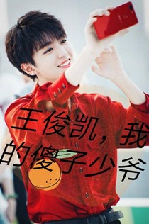 王俊凯，我的傻子少爷