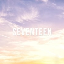 seventeen图册