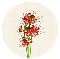 重度疾病