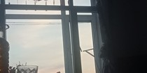 我喜欢一个人不知道表白