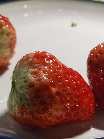 全高王乔花吐症