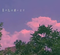 廢貓日記