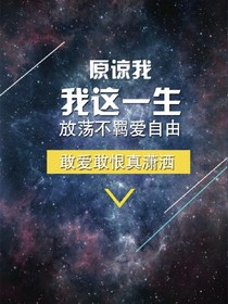 查理九世之回忆录