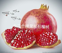 十二個(gè)精靈與石榴樹(shù)