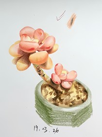 等我，在你后面。