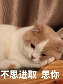 一眼深情却是梦