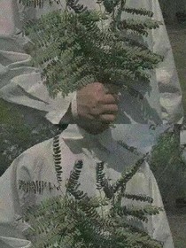 与世无争.（重生）