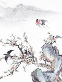 衛(wèi)天秦