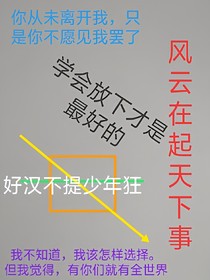 风云再起天下事