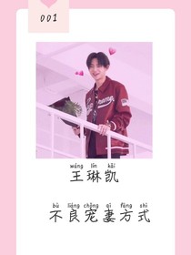 王琳凱：不良寵妻方式——d865