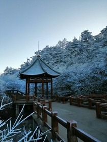故事荒凉，个自散场