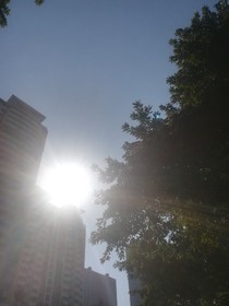 微风和煦，我喜欢你.
