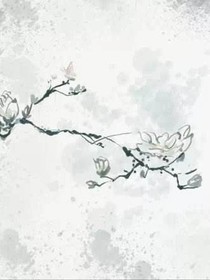 穿越之囂張魔妃