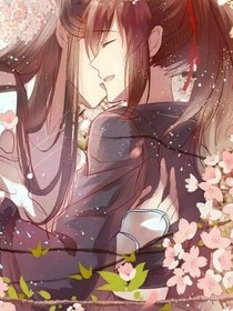莲花坞.重启余生