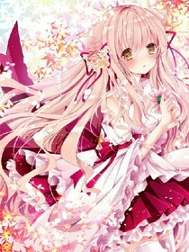 魔法世界牌