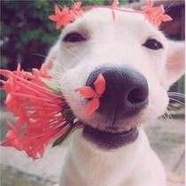 天杀的叨叨逼