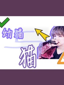 闵玧其：幼猫与猫
