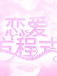 （恋爱方程式）
