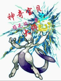 神奇宝贝之大师