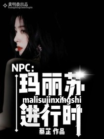 NPC.玛丽苏进行时_d957