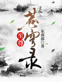 至尊苍穹录1