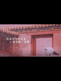 宫墙外梦