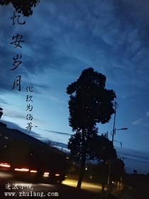 忆安岁月
