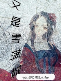 又是雪满城_d028