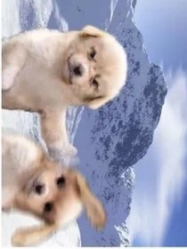 逃离伊甸园