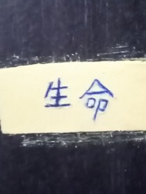 我叫作生命吗