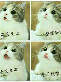 exo：嬌妻別想逃（短篇）