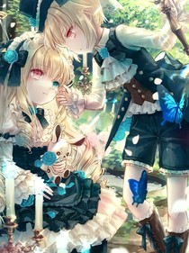 伴凰