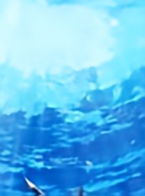 sea